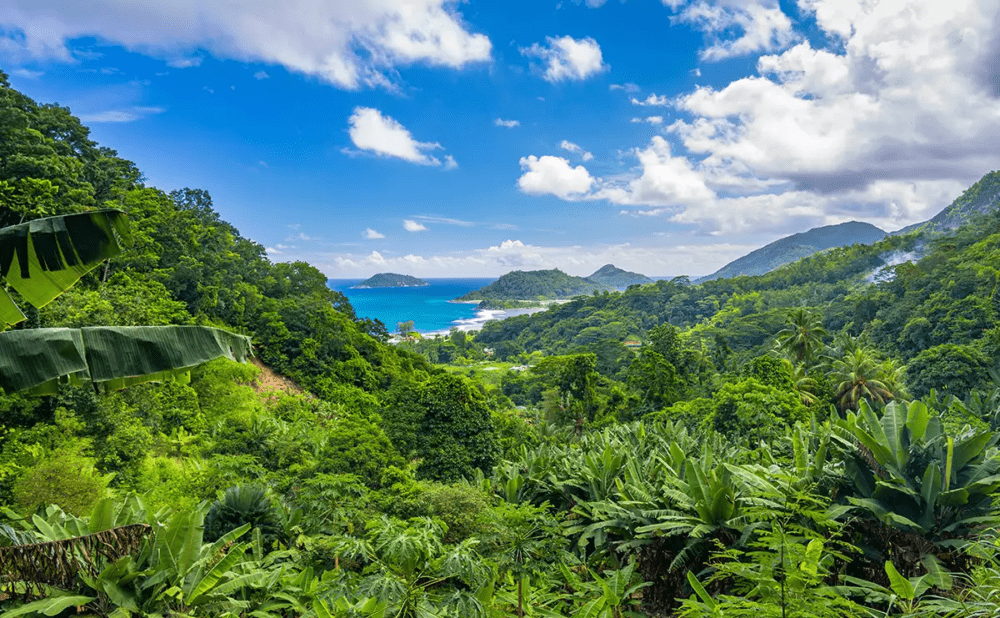 Dove andare alle Seychelles