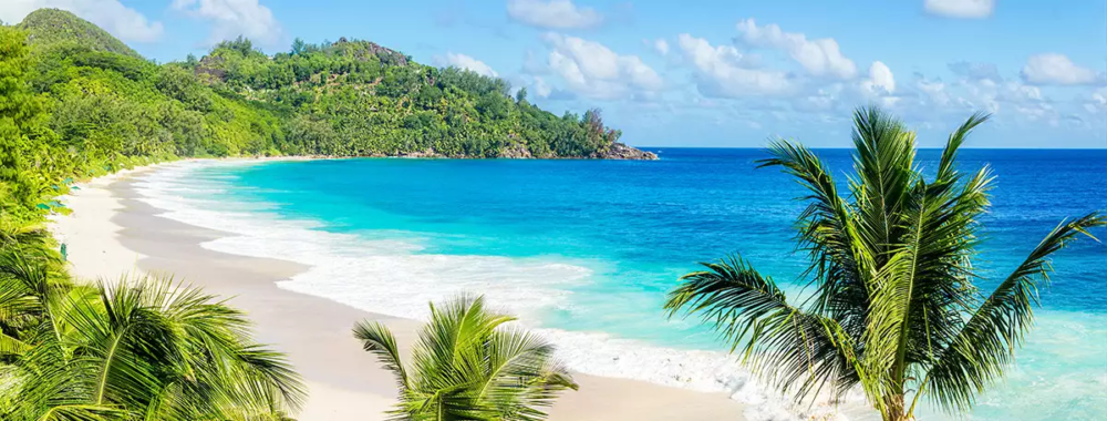 Dove alle palme delle Seychelles