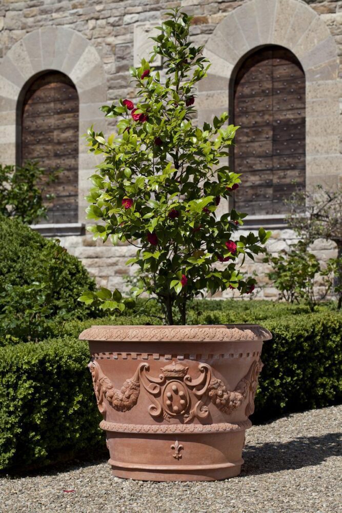 vaso da fiori in terracotta