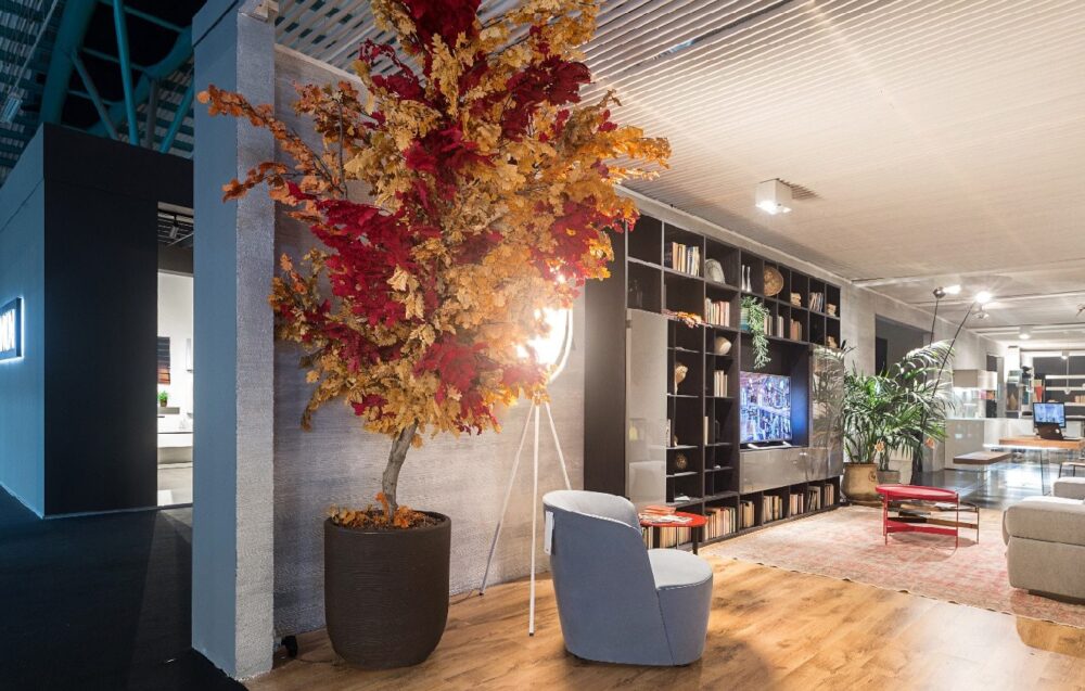 Come Stabilizzare le Piante Blog