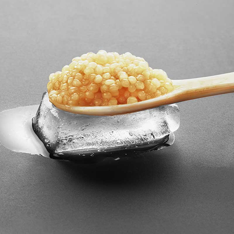 Cos’è Kest Kawior