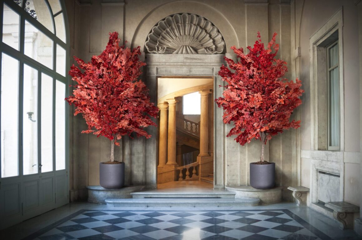 In cosa consiste la stabilizzazione delle piante