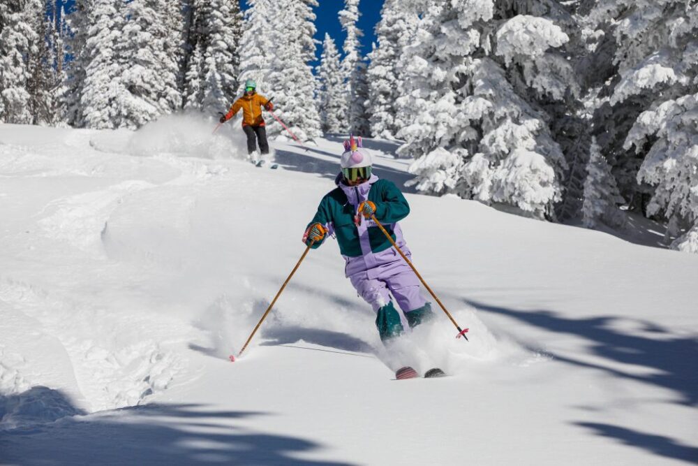 Quanto Costano gli Sci Premium