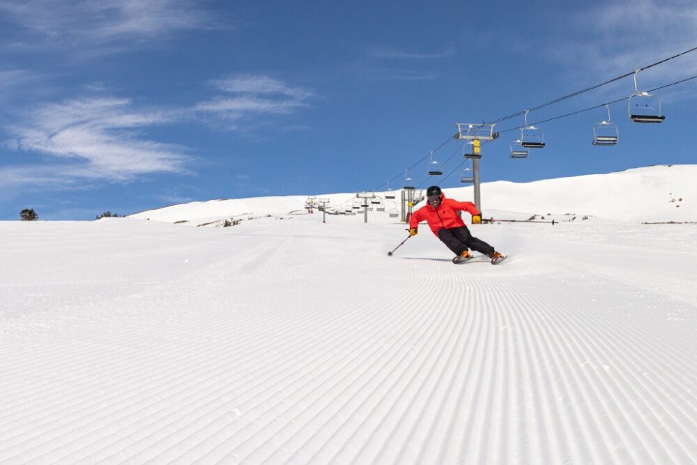 Sci Premium per Professionisti