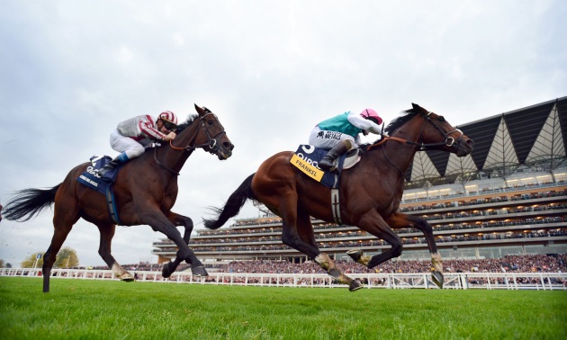 Frankel vince su Cirrus Des Aigles 20 10 12 Foto Bill Selwyn