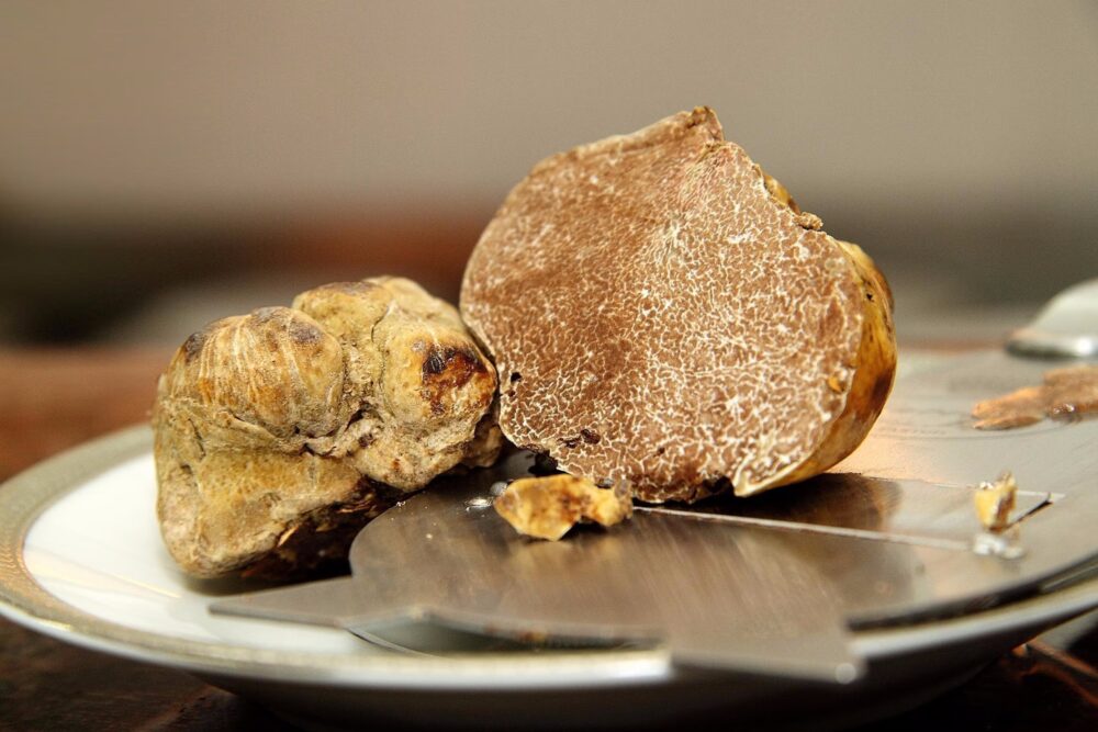 Quanto Costano i Tartufo Più Costosi