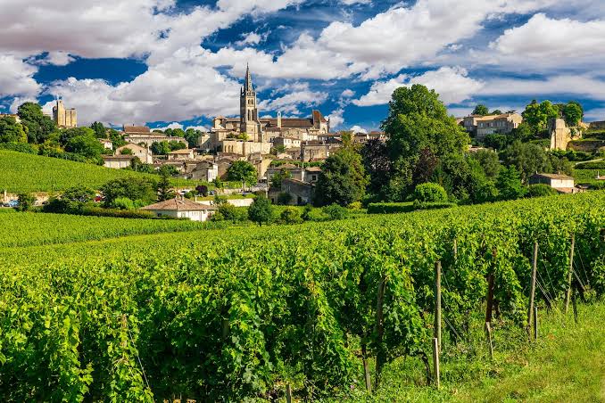 Regione Vinicola di Bordeaux