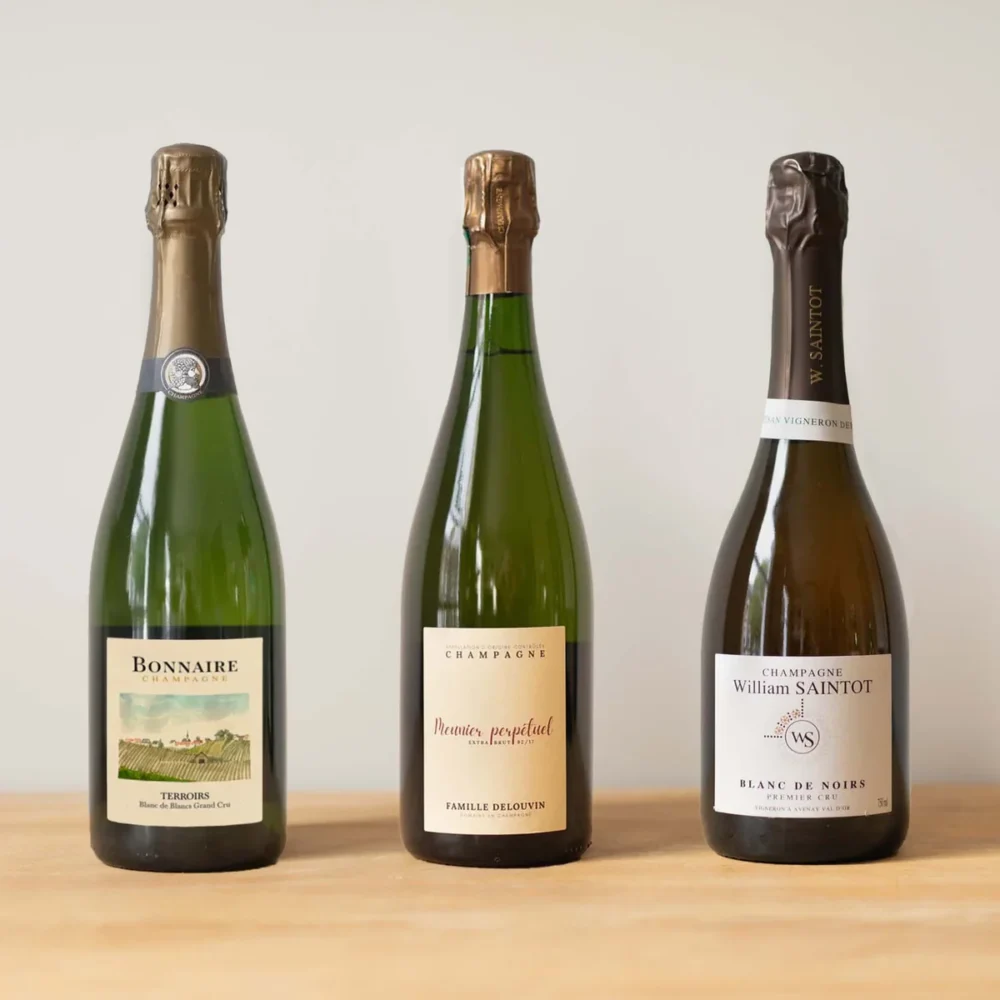 Blanc De Blancs Vs Blanc De Noirs Differenze