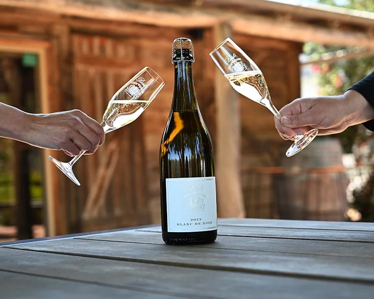 Blanc De Blancs Vs Blanc De Noirs Prezzo